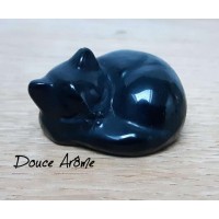 Chat en Obsidienne noire