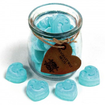 Fondants en Cire Soja - Mûre sauvage