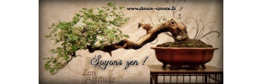 Zenitude